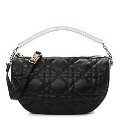 CHRISTIAN DIOR VIBE HOBO BAG